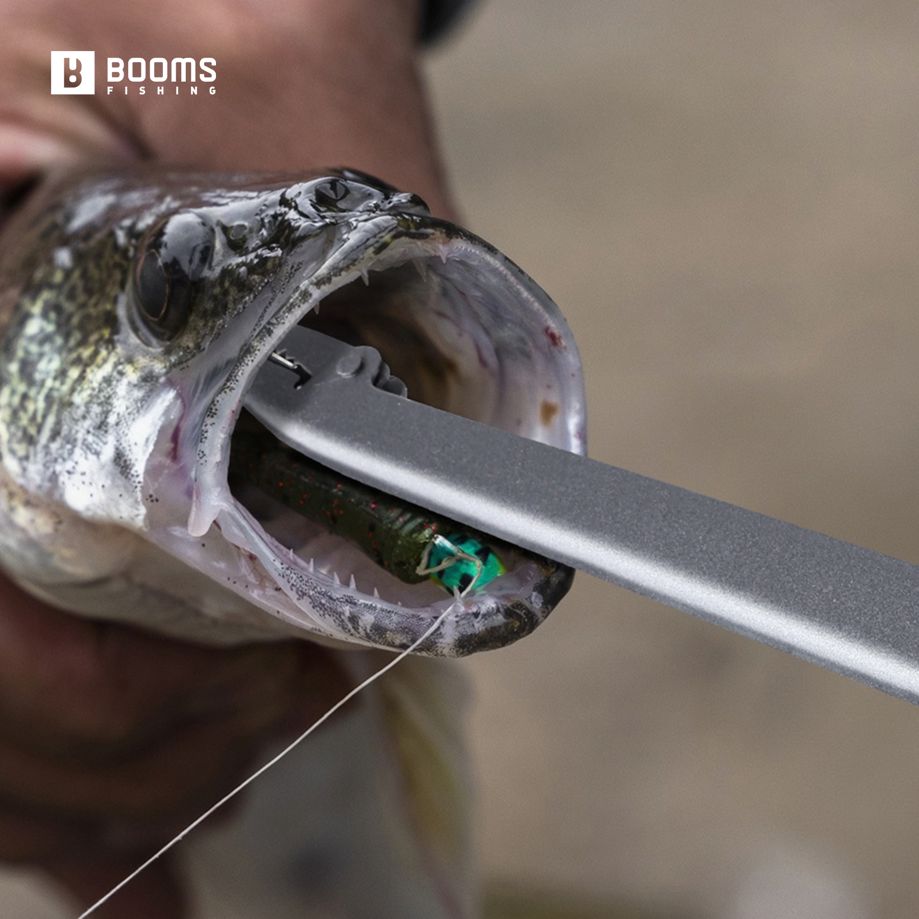 Booms Fishing 25cm Carbon Stee - Saltwater Fishing Hook avaliação e preço